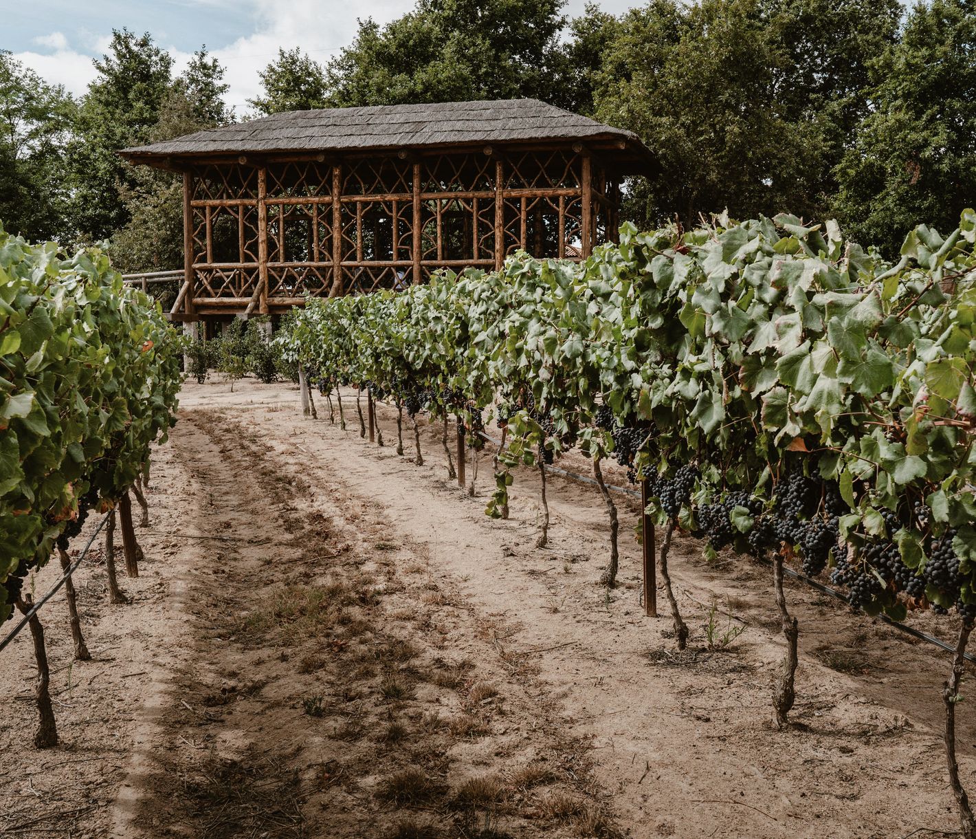 Casa das Fidalgas – Eleganz im Herzen von Santar Vila Jardim