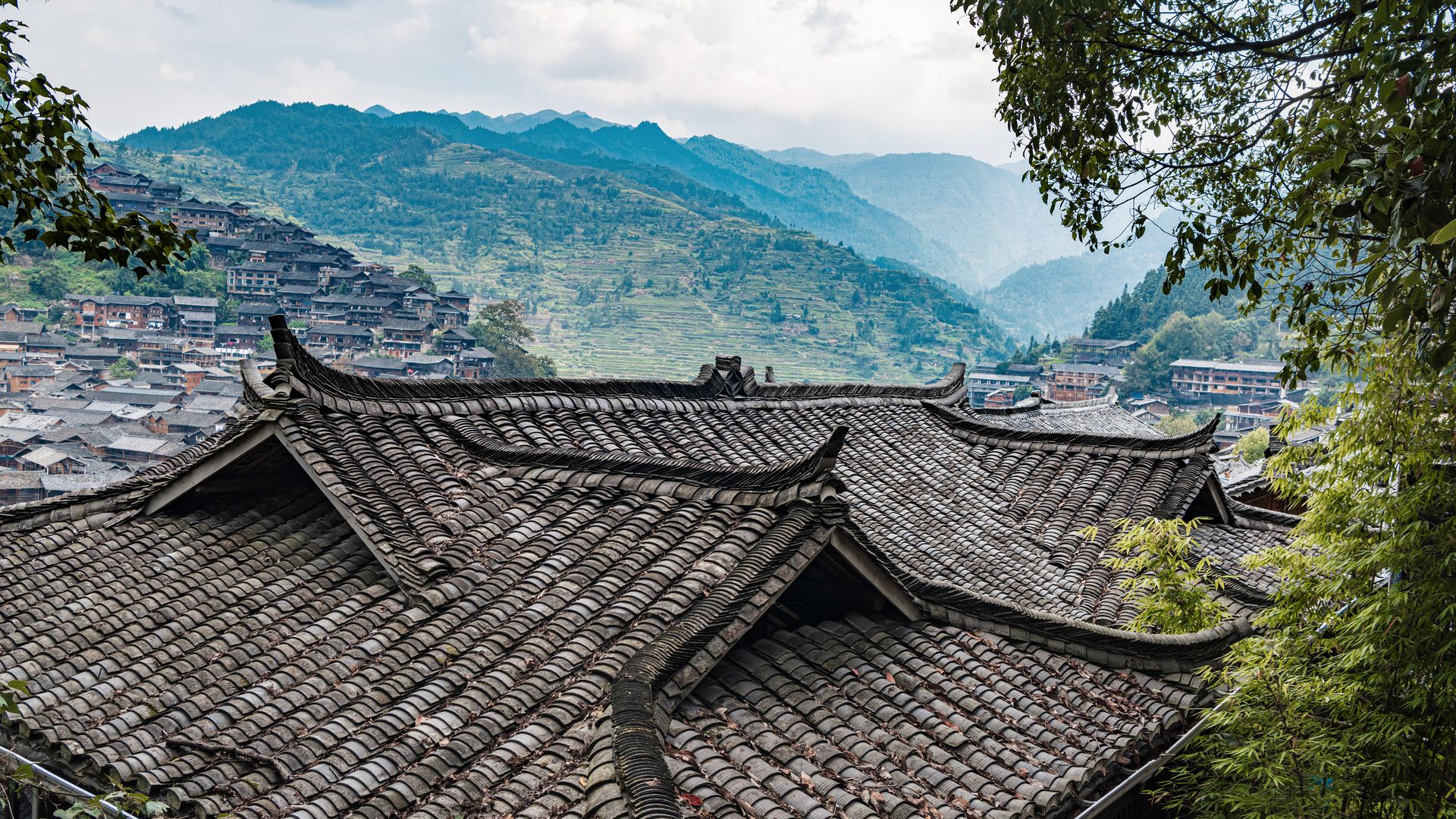 Xijiang est le plus grand village du peuple Miao, réputé pour ses charmantes maisons en bois sombre, serrées les unes contre les autres, qui lui confèrent une atmosphère authentique et envoûtante.