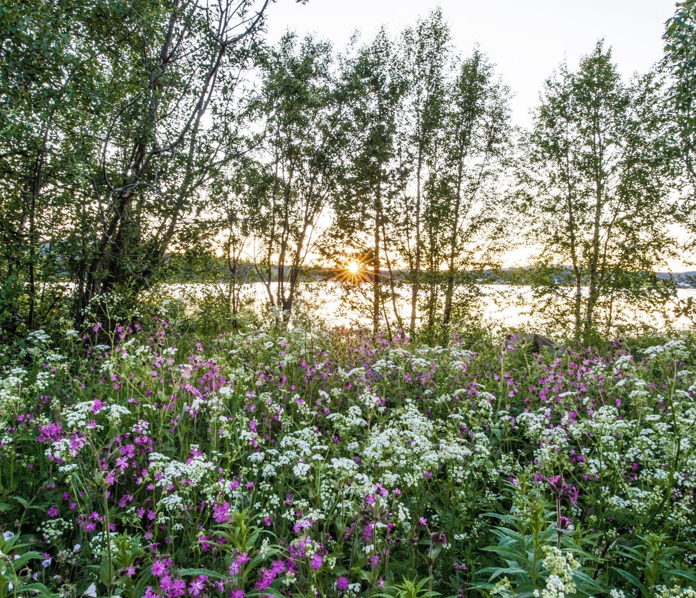 Mitternachtssonne in Jukkasjärvi