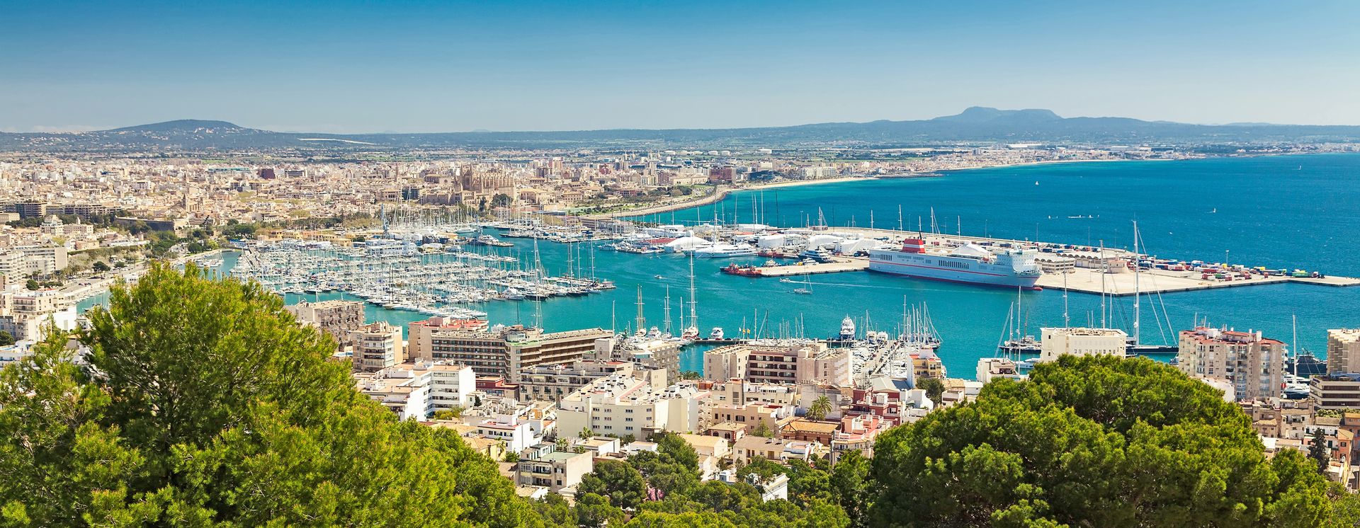 Begeben Sie sich auf eine Entdeckungsreise durch den pulsierenden Stadtkern von Palma de Mallorca