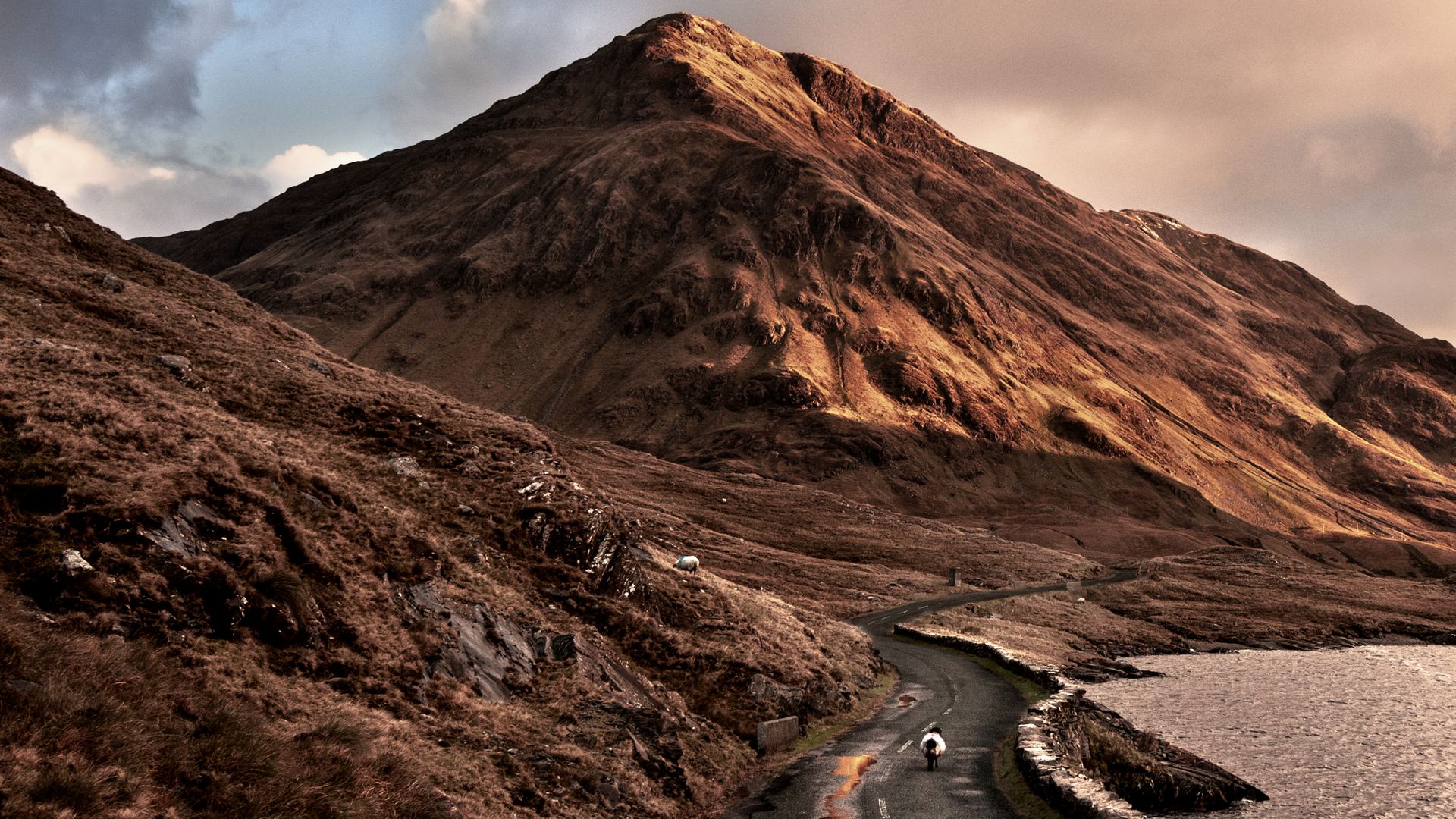 Vielseitiges Connemara