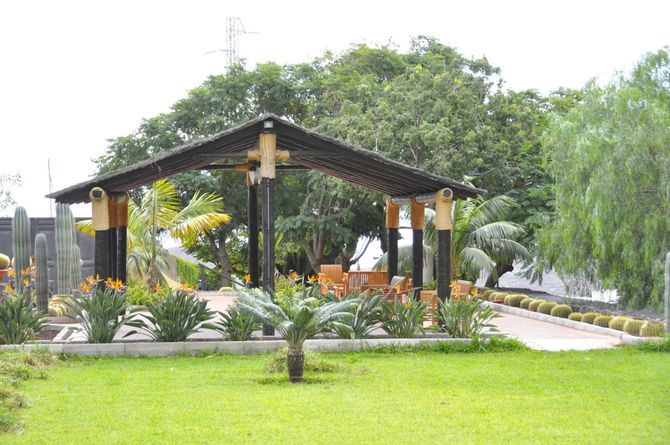 Jardin