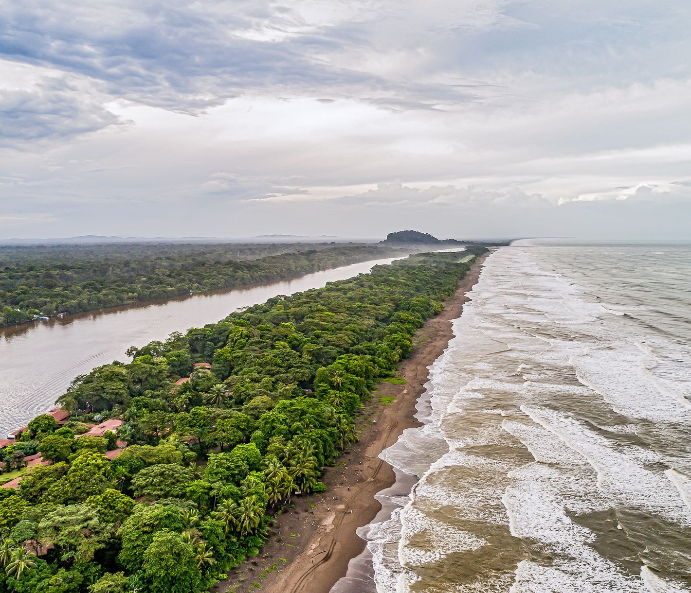 Der Nationalpark Tortuguero mit seiner urwüchsigen Landschaft.