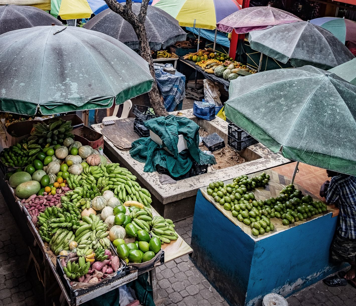 Früchte und Gemüse werden auf dem Zentralmarkt in Victoria zum Verkauf angeboten.