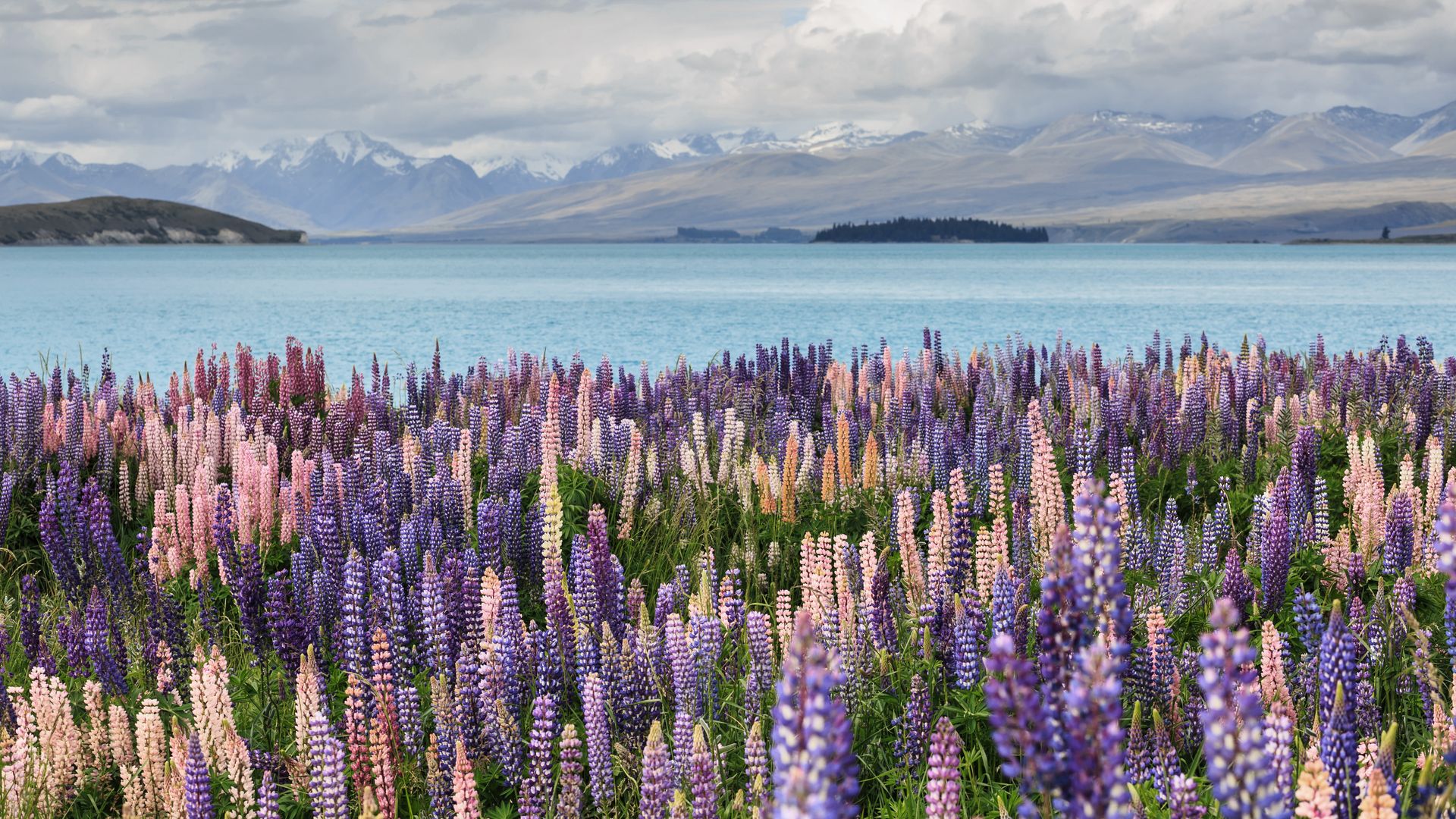 Lake Tekapo