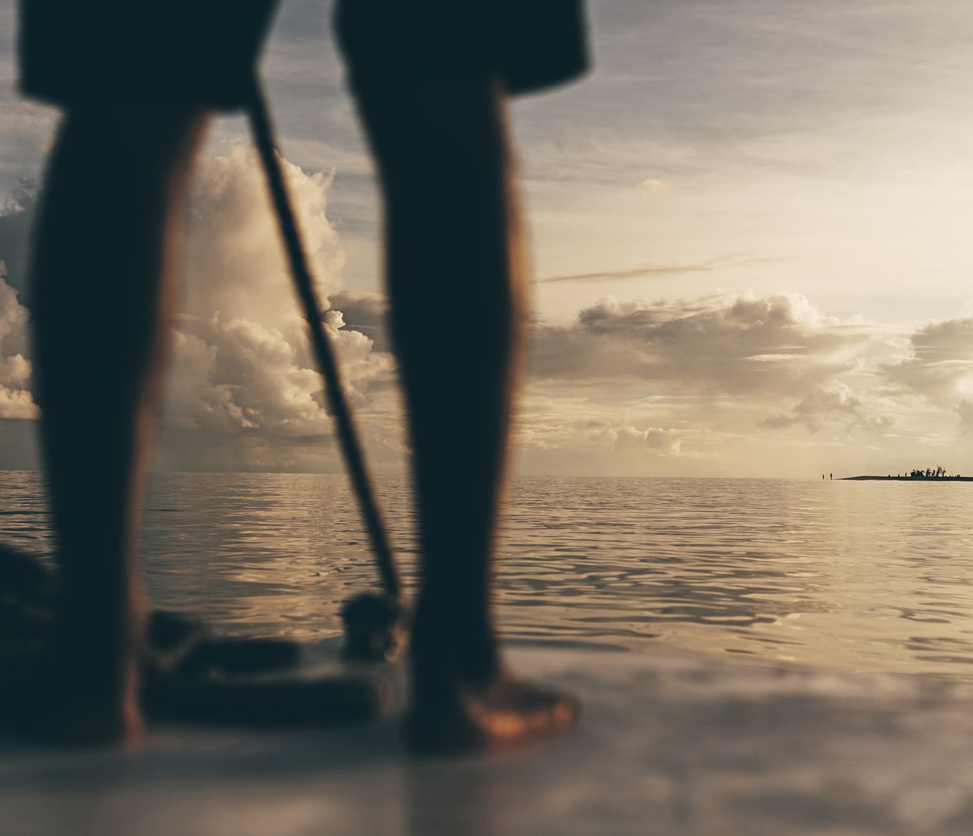 Was bringt die Zukunft?