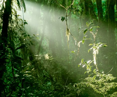 Sind wir in einem Märchen gelandet?