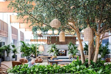 10. Bild der Unterkunft