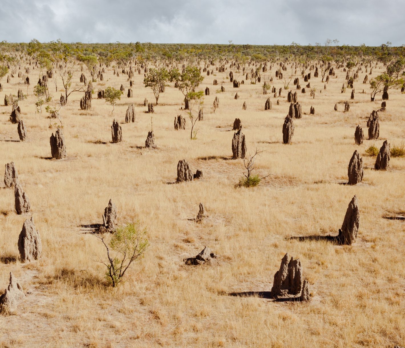 Wer wohnt denn hier?