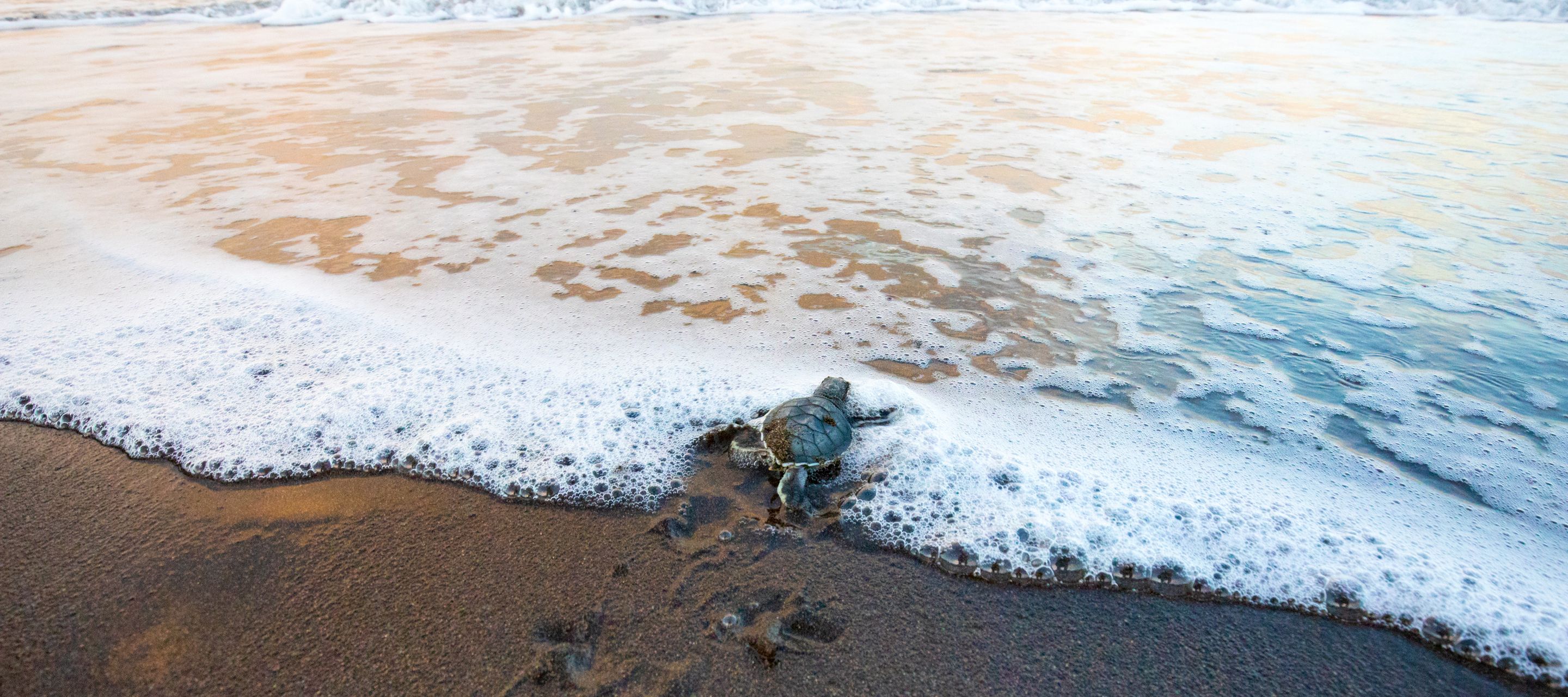 Der nicht ganz einfache Weg ins Meer
