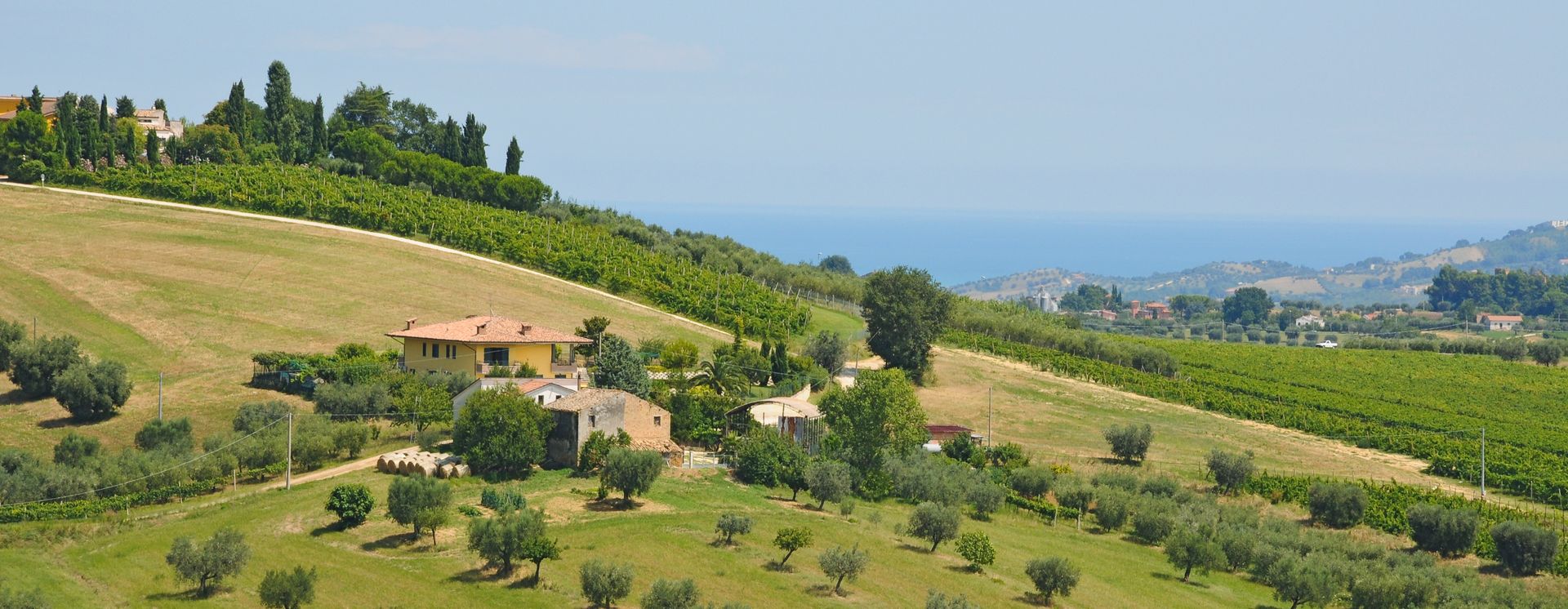 Paysage vallonné dans la province de Teramo