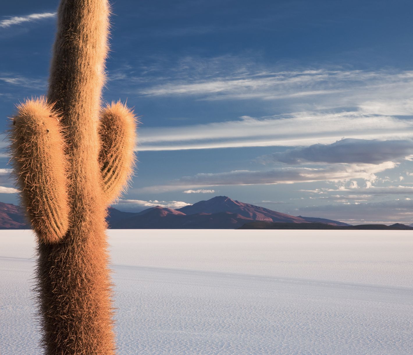 Der Salzsee Salar de Uyuni ist einer der bekanntesten Orte Boliviens.