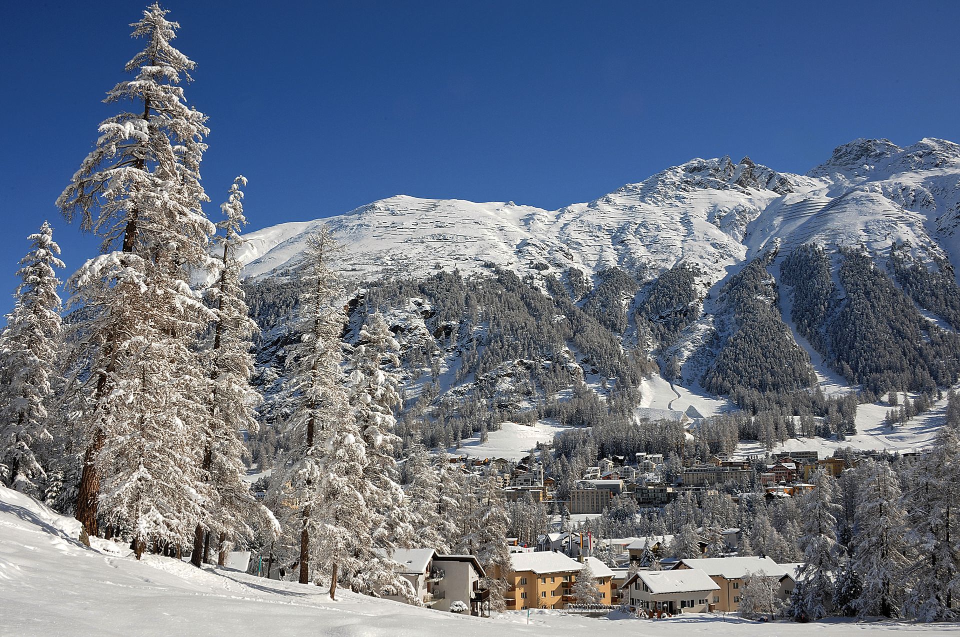 © Photo: Susanne Bonaca / Pontresina Tourismus