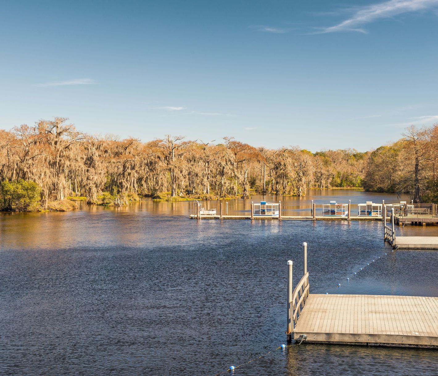 Edward Ball Wakulla Springs State Park