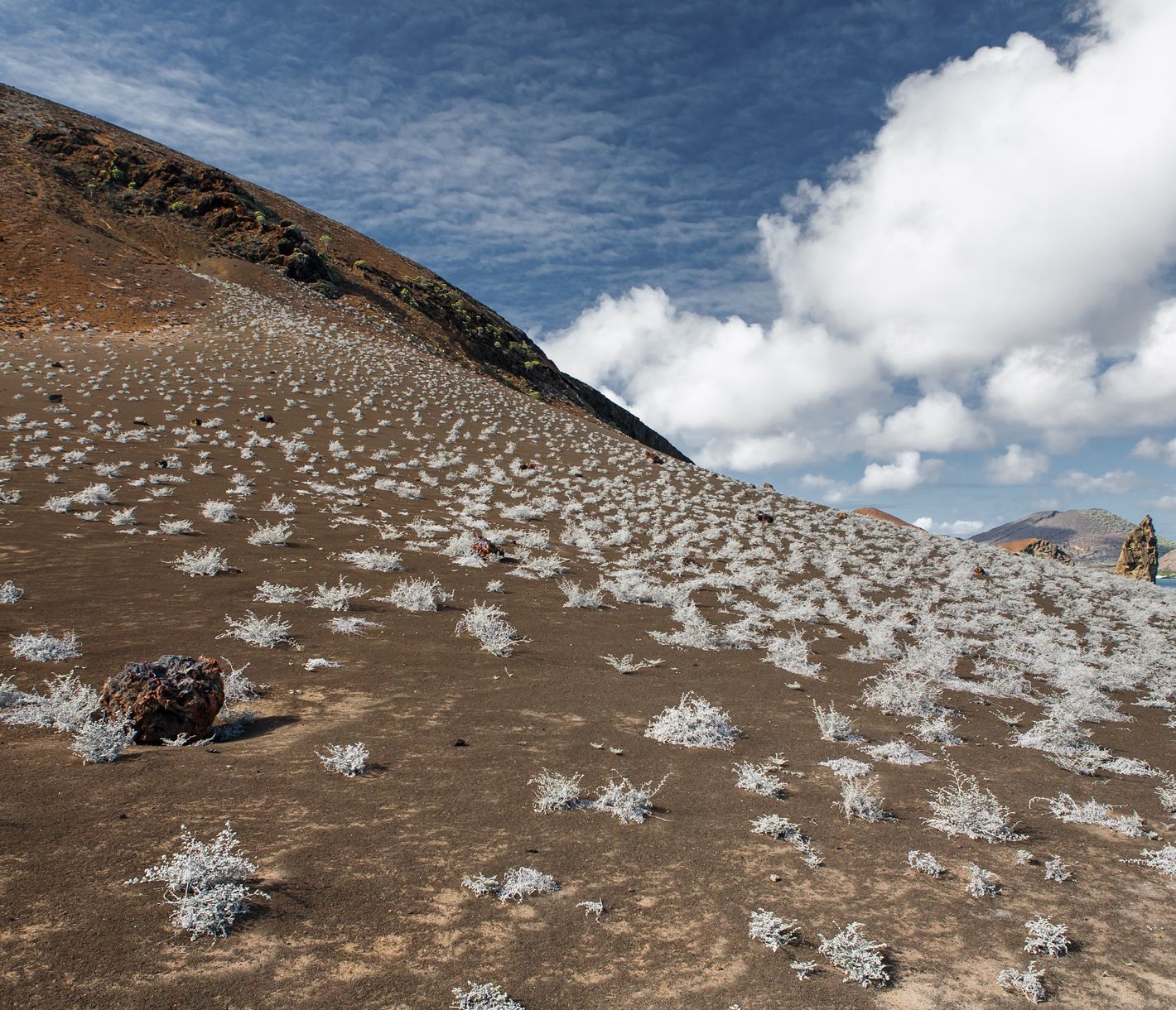 Eine karge, jedoch einzigartige Landschaft