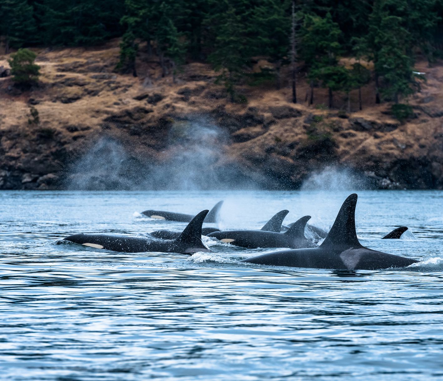 Wenn die Action plötzlich los geht