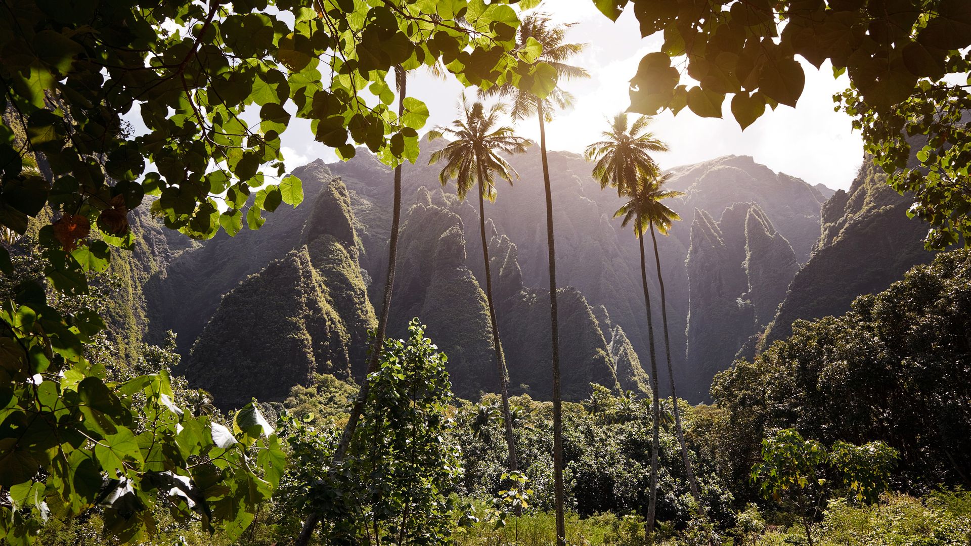 Dramatische Landschaften