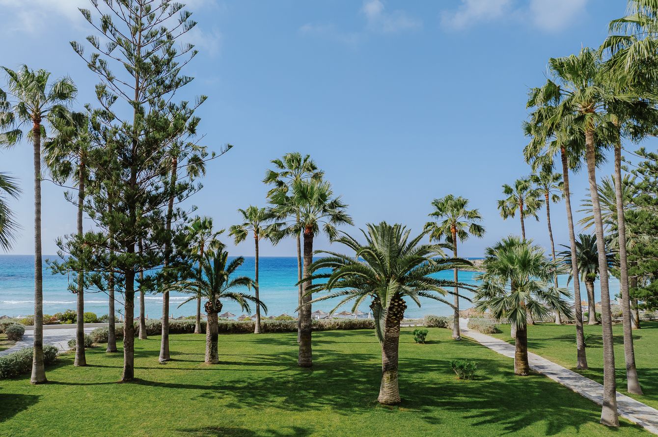 Suite Beach