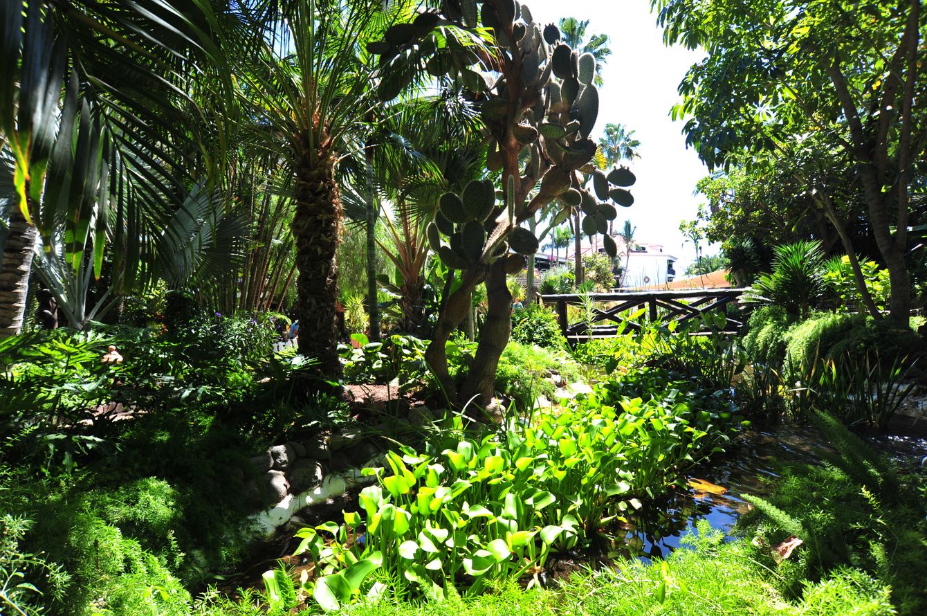 Parque Tropical