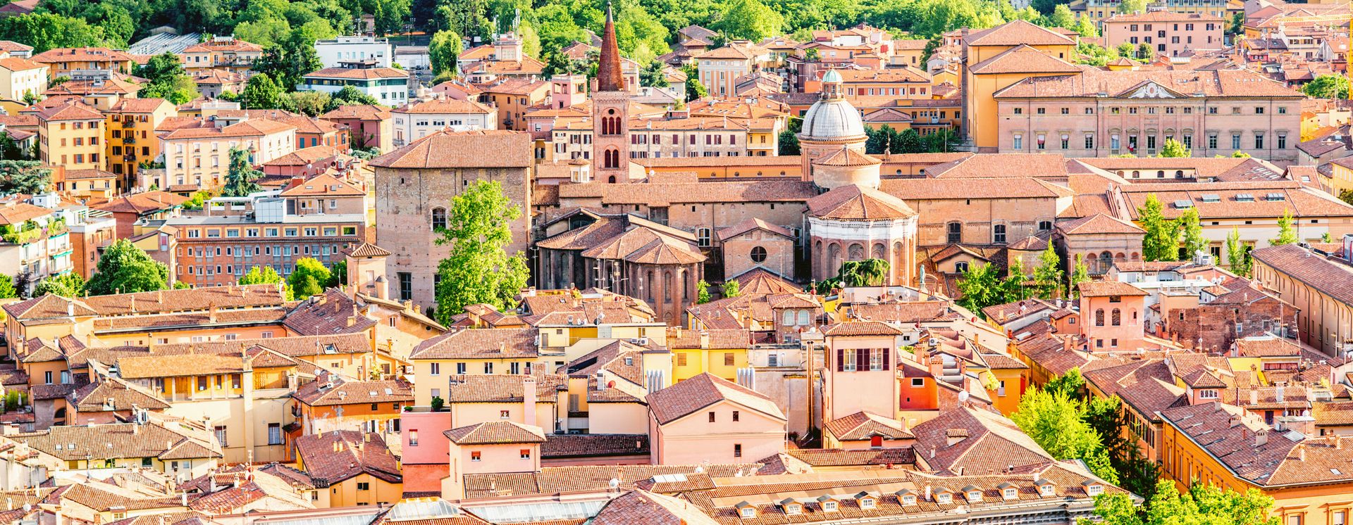 Blick über die Dächer der Altstadt