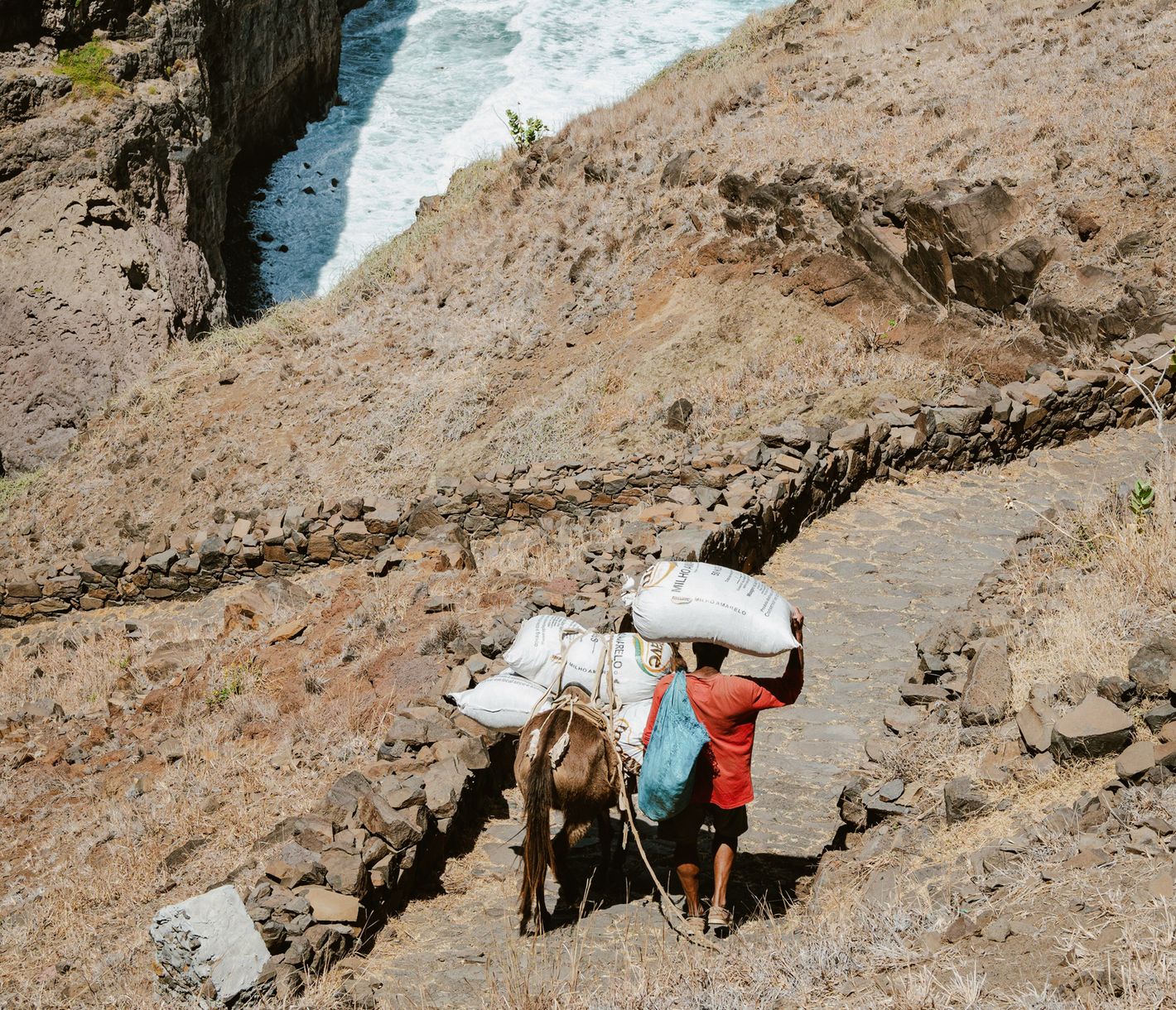 Menschliche und tierische Muskelkraft wird für den Abtransport der Anbauprodukte benötigt.