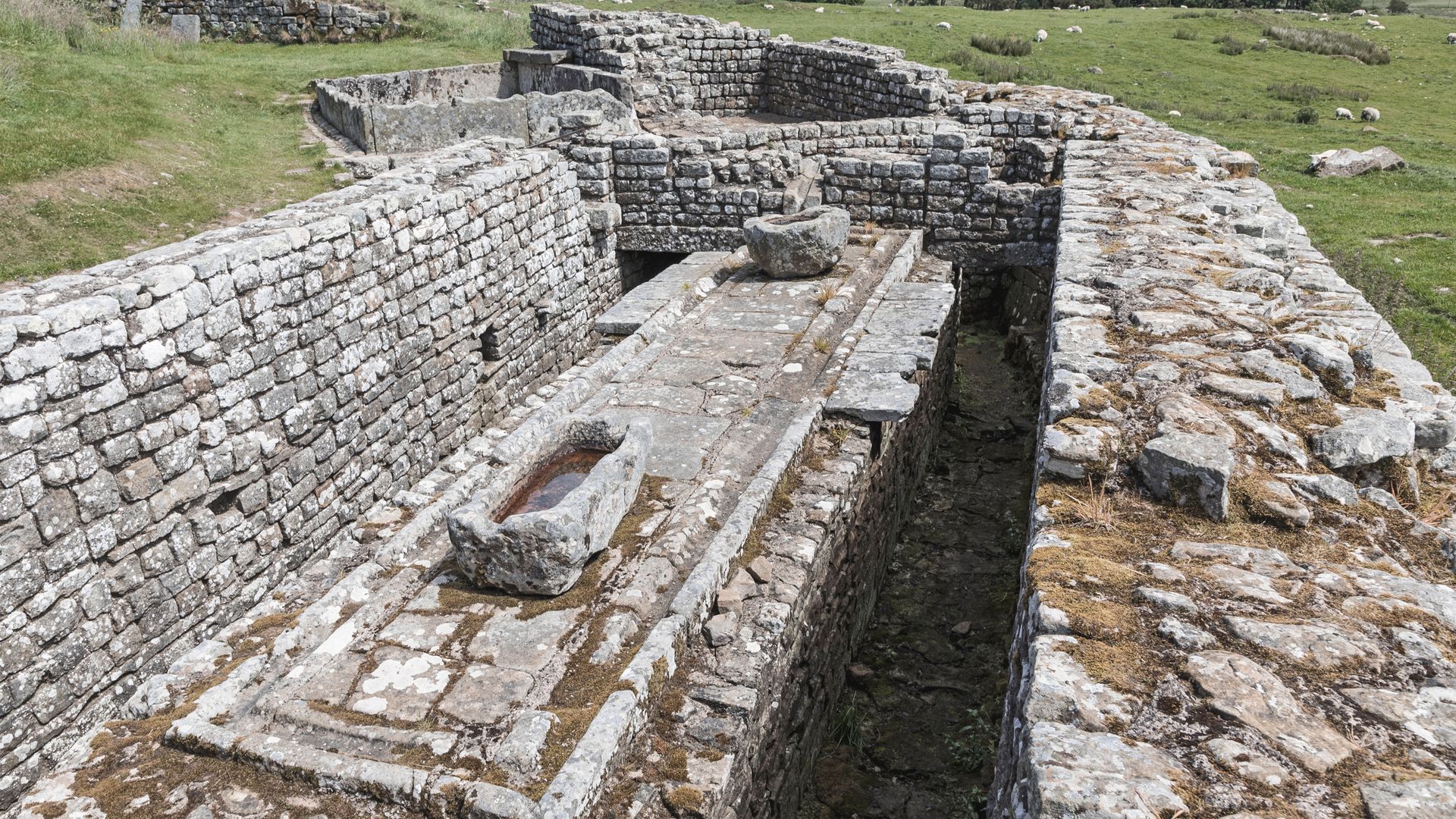 Housesteads Roman Fort