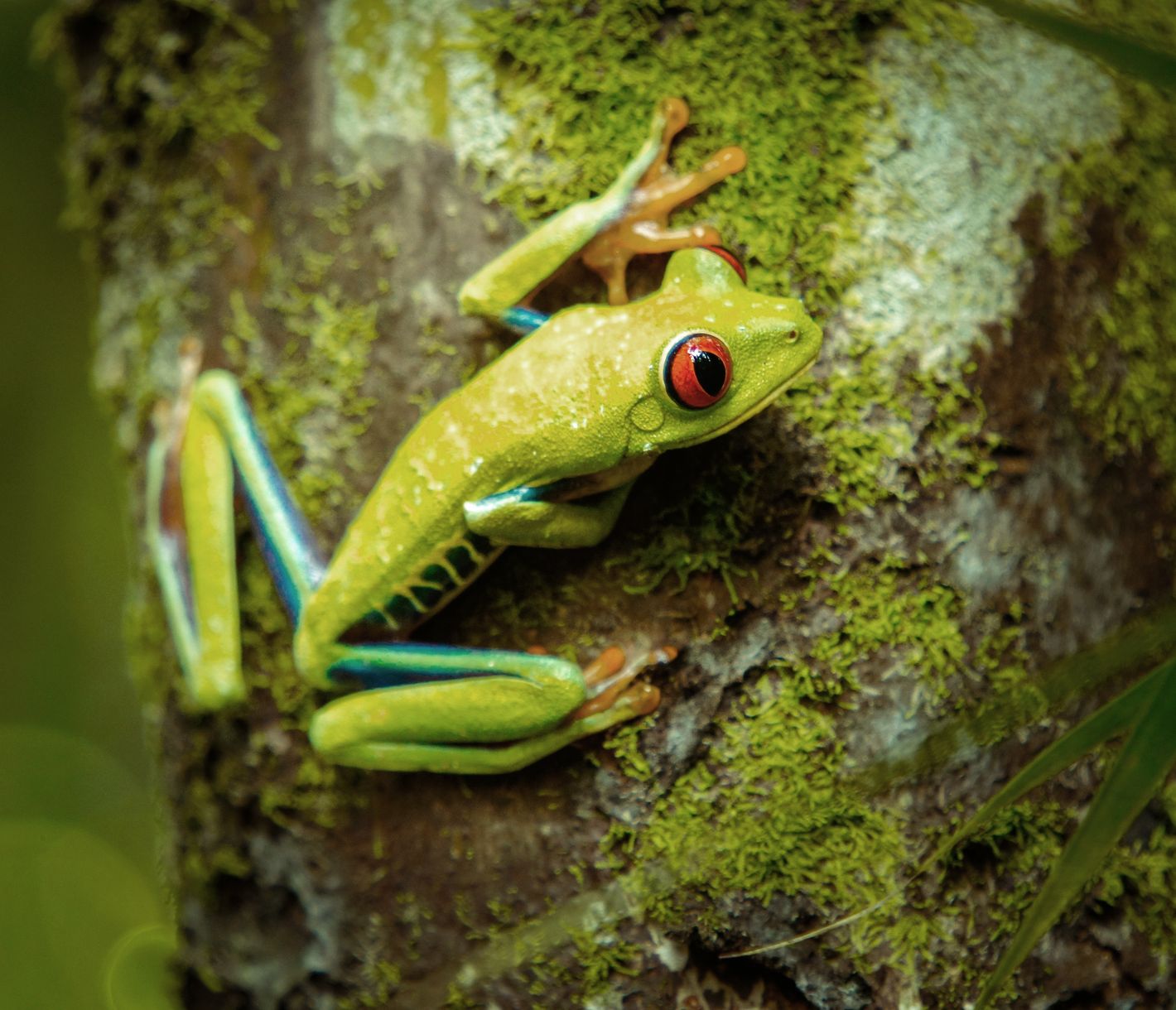 Stets die Augen offen halten