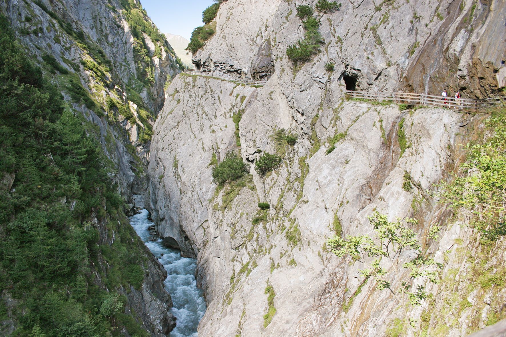 Dabaklamm