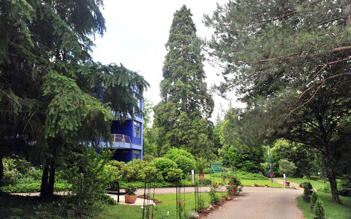 Park