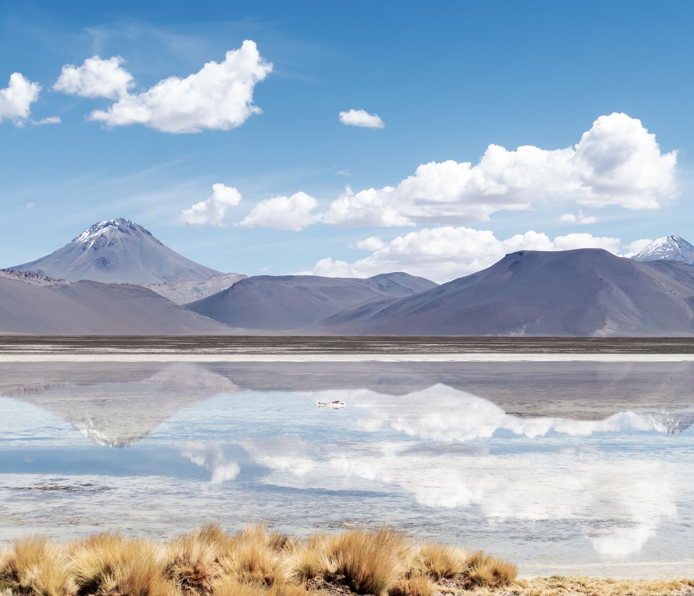 Salar de Aguas Calientes nahe der Argentinischen Grenze