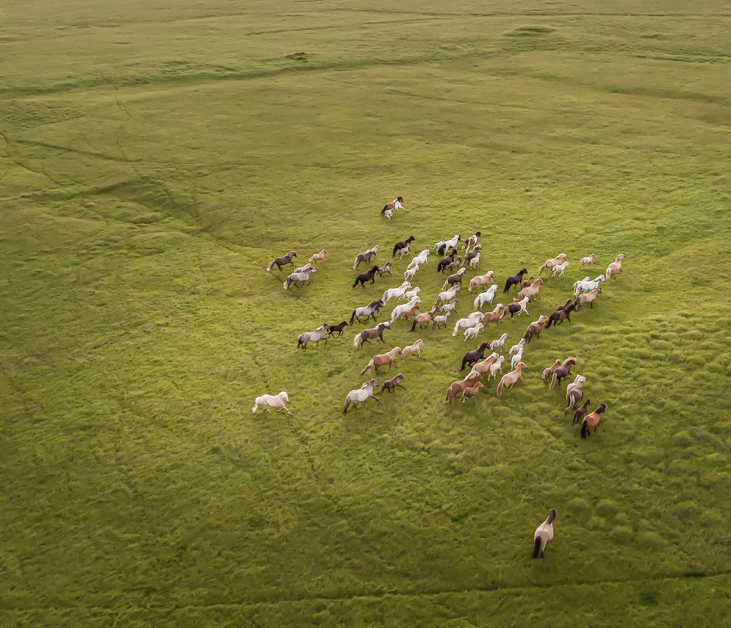 Hätten Sie es gewusst? Einmal aus dem Land, immer aus dem Land!
