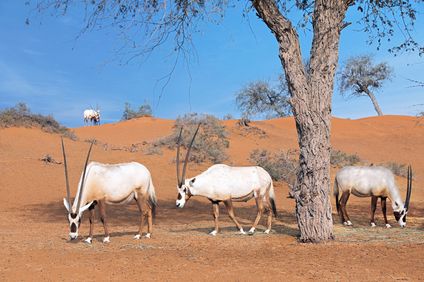 3. Bild der Unterkunft