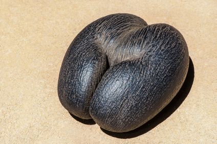 11. Bild der Rundreise