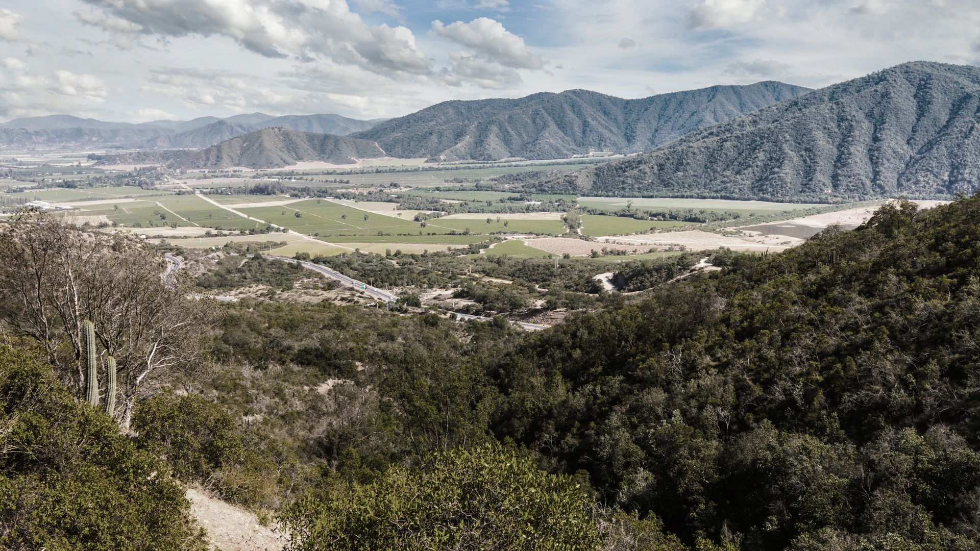 Weltberühmt für seinen Chardonnay und Sauvignon Blanc: Das Casablanca-Tal nahe Santiago de Chile