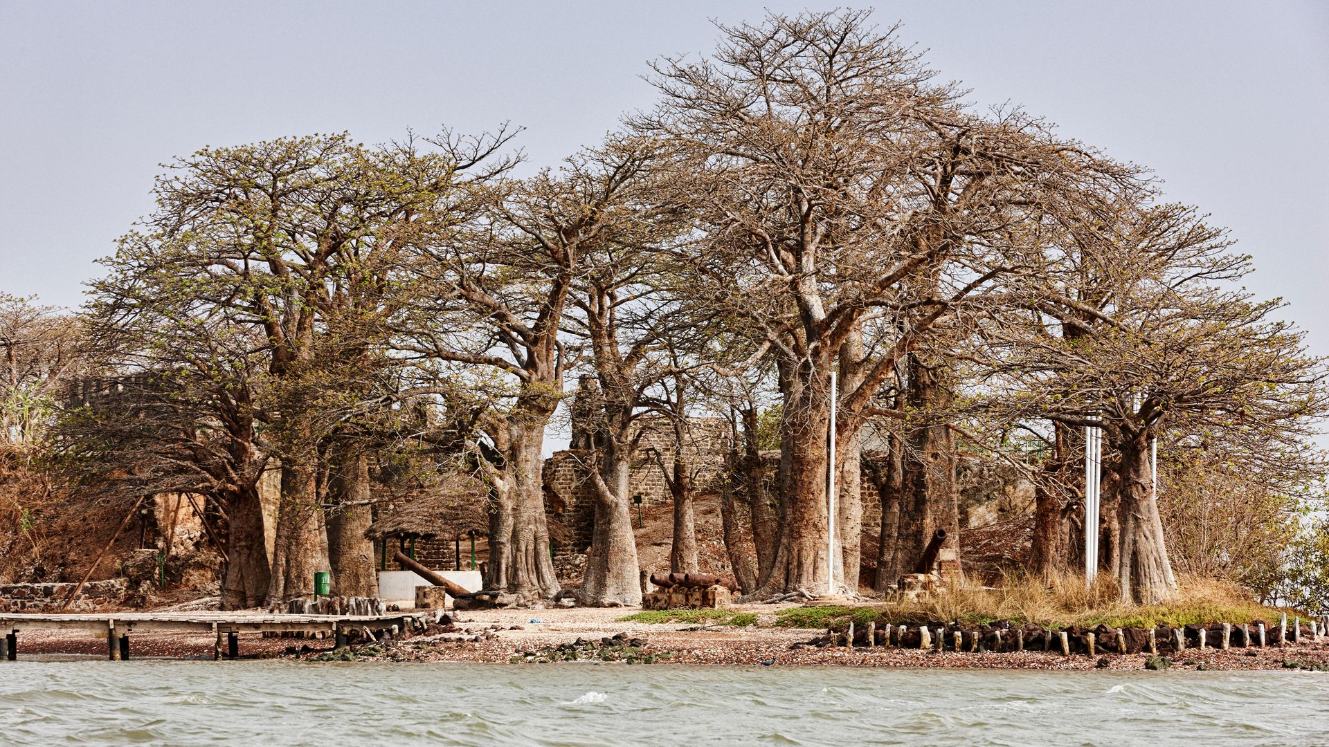 Blick auf die kleine Insel Kunta Kinteh mit den Ruinen des alten Forts