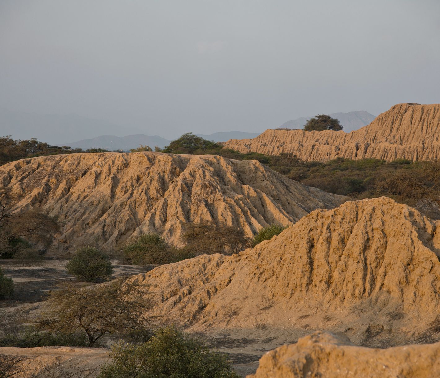 Tucume, un champs de 26 pyramides