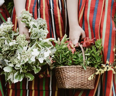 Madeira – das Blumenparadies im Atlantik