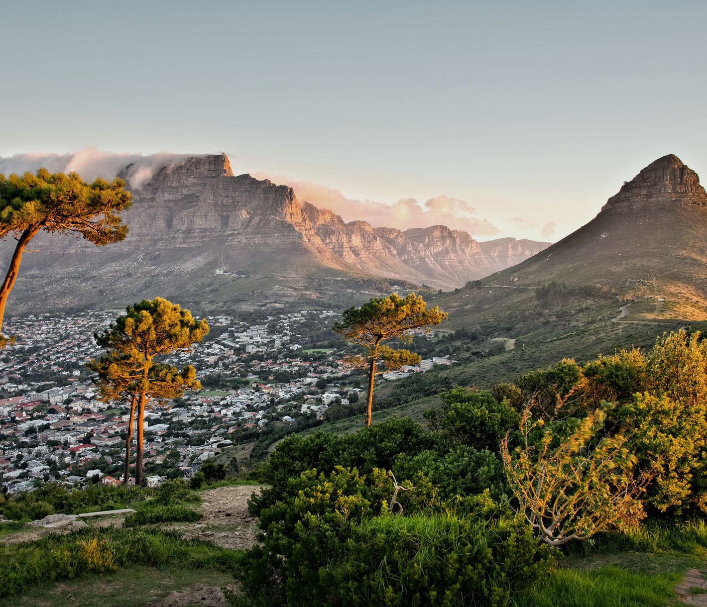 Le Cap, surnommée "The Mother-City", et son emblématique Table Mountain