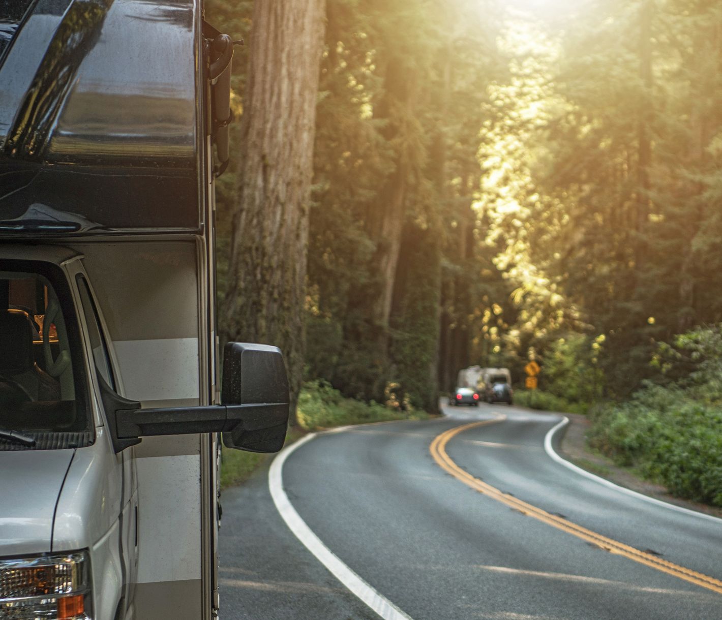 Die kurvenreichen Strassen durch den märchenhaften Sequoia National Park