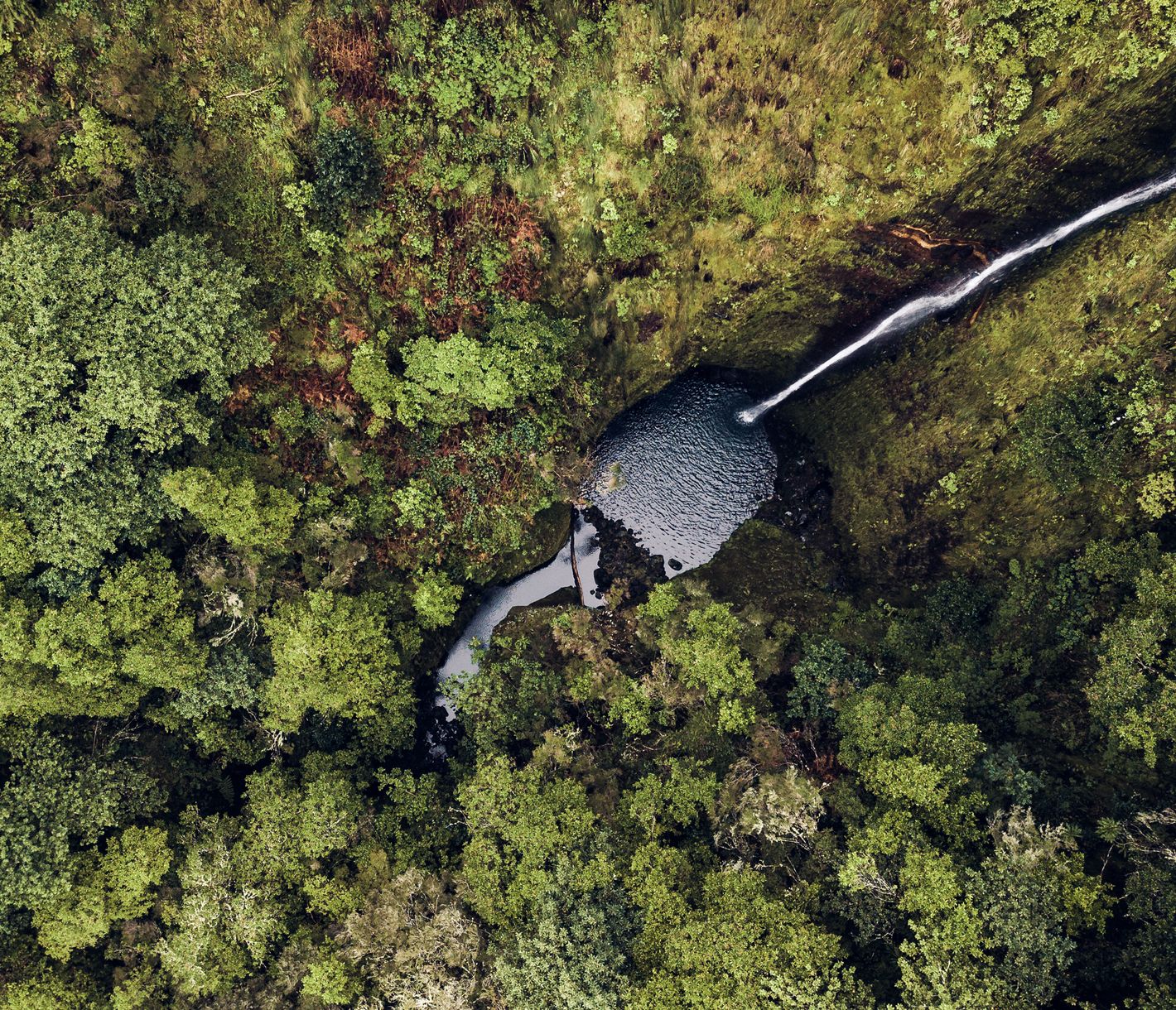Wasserfall im Naturpark Ribeiro Frio