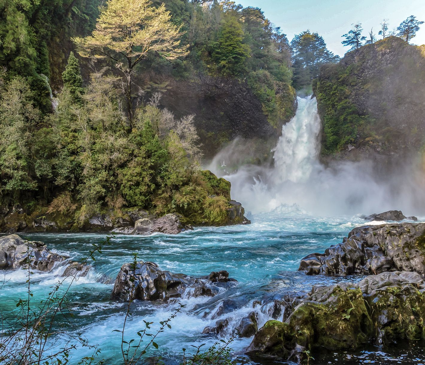 Der Huilo Huilo Naturpark