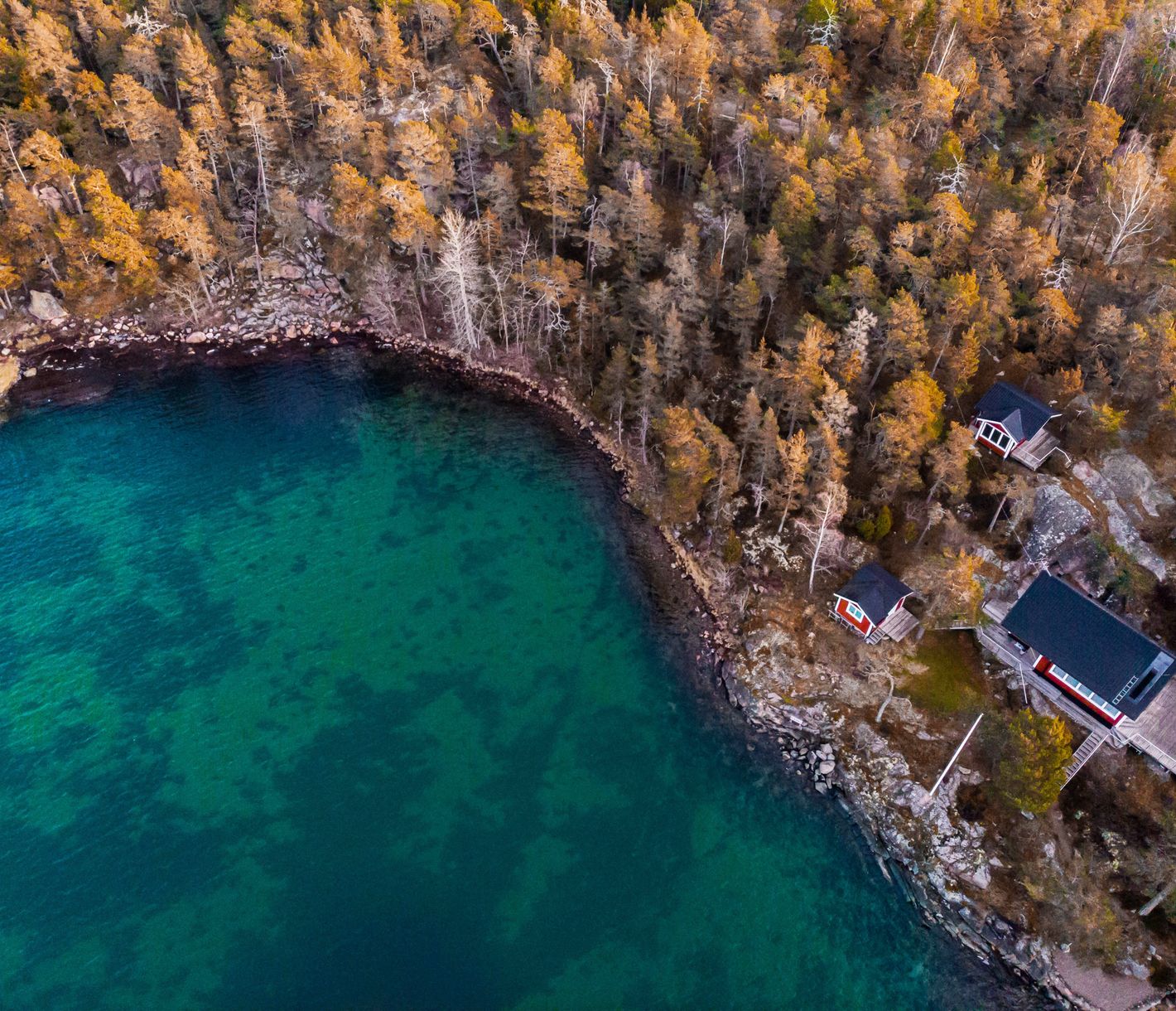Unterschiedliche Vegetation auf den Schären