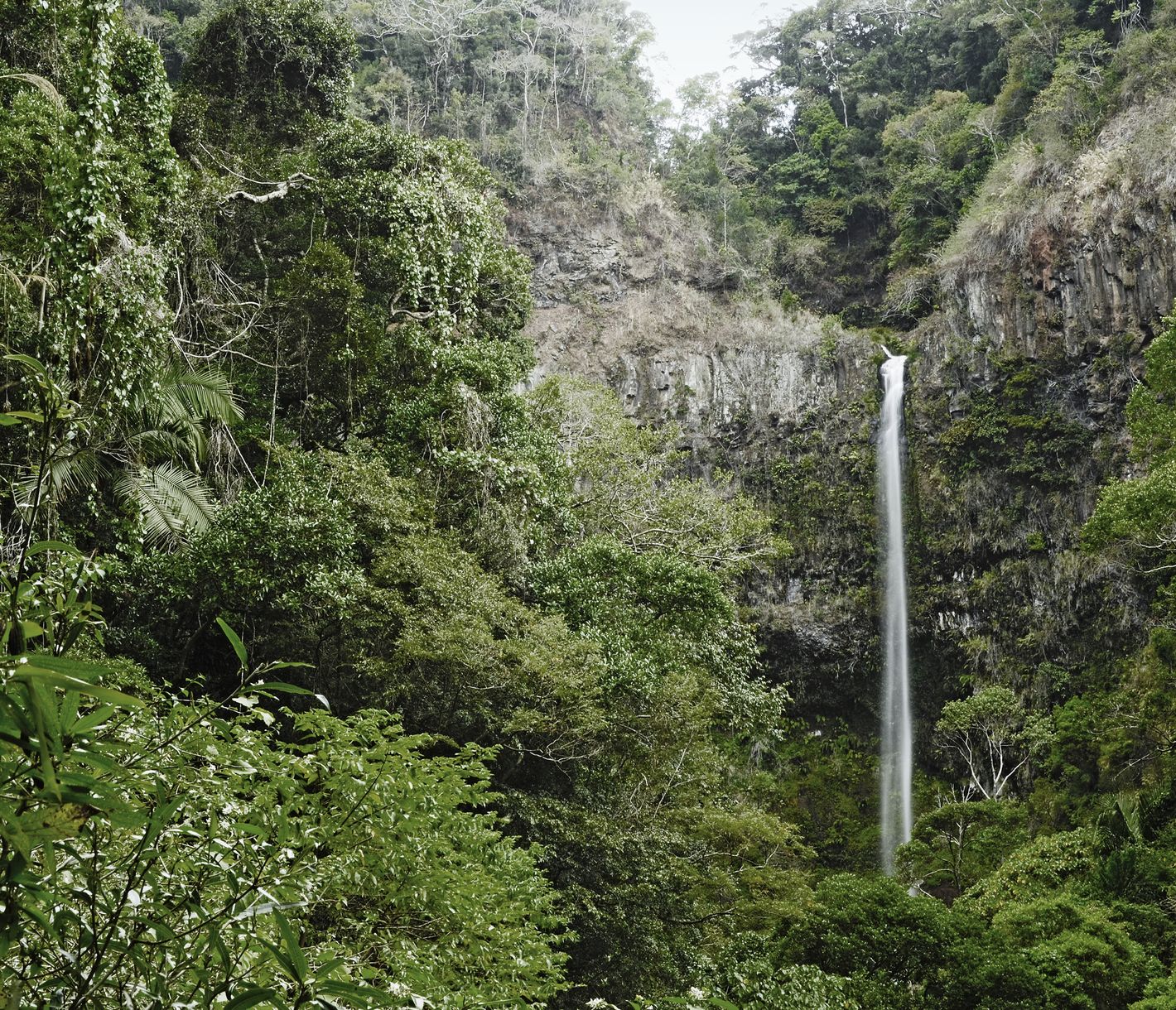 Ein Wasserfall im Montagne-d'Ambre-Nationalpark im Norden Madagaskars