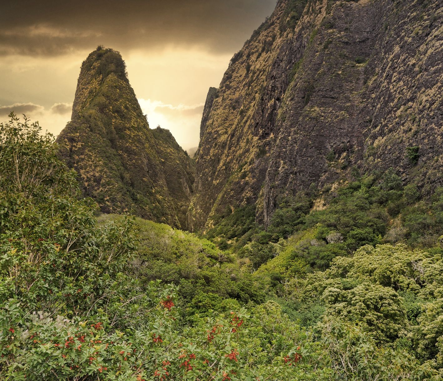 Das Iao Valley beeindruckt mit steilen, dicht bewachsenen Berghängen und der markanten Iao Needle, die spitz aus dem Tal aufragt.