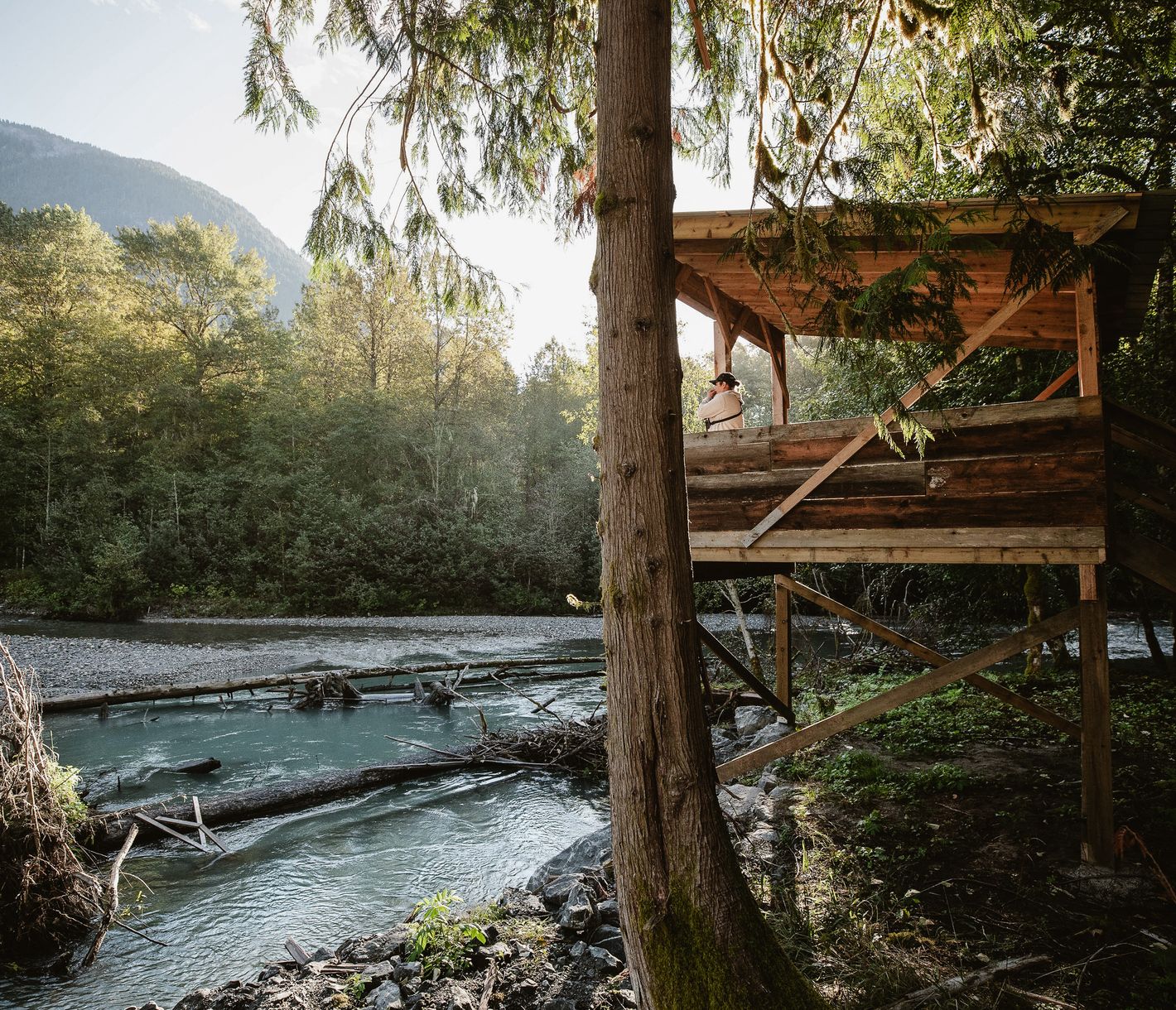 Beobachtungen aus sicherer Distanz