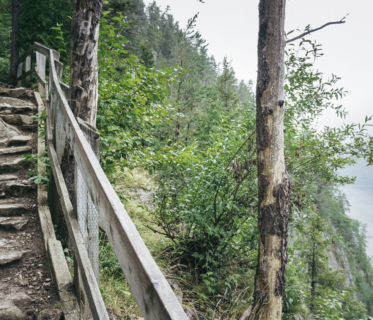 En chemin sur un sentier surplombant le fjord du Saguenay.