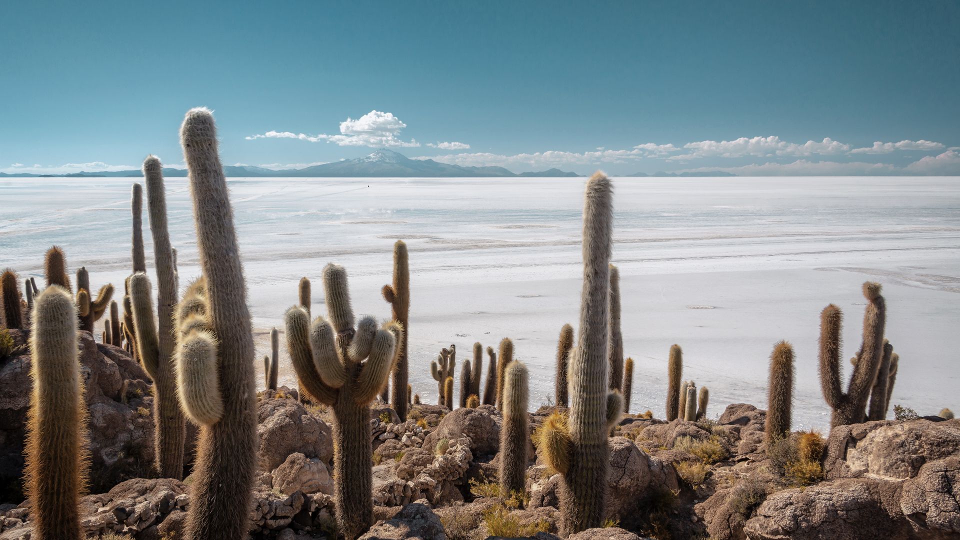 Inmitten eines Meeres aus Salz erheben sich Inseln aus Stein