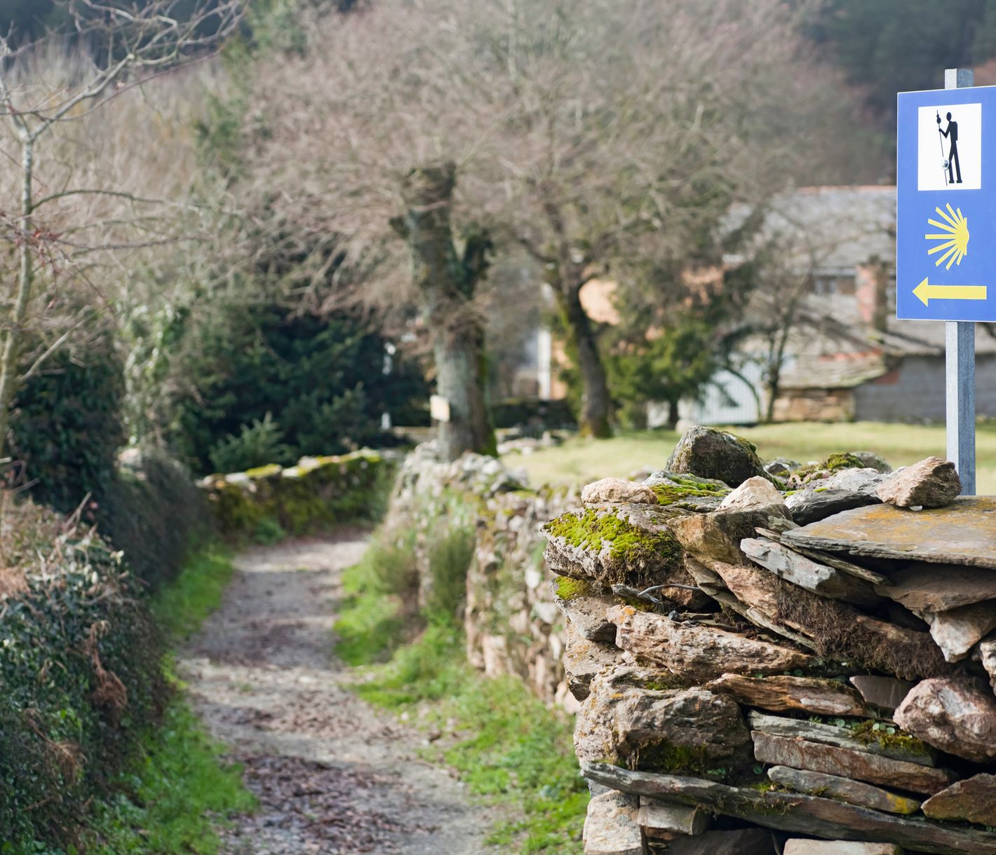 Ein Schild zeigt den Jakobsweg in Richtung Santiago de Compostela an.