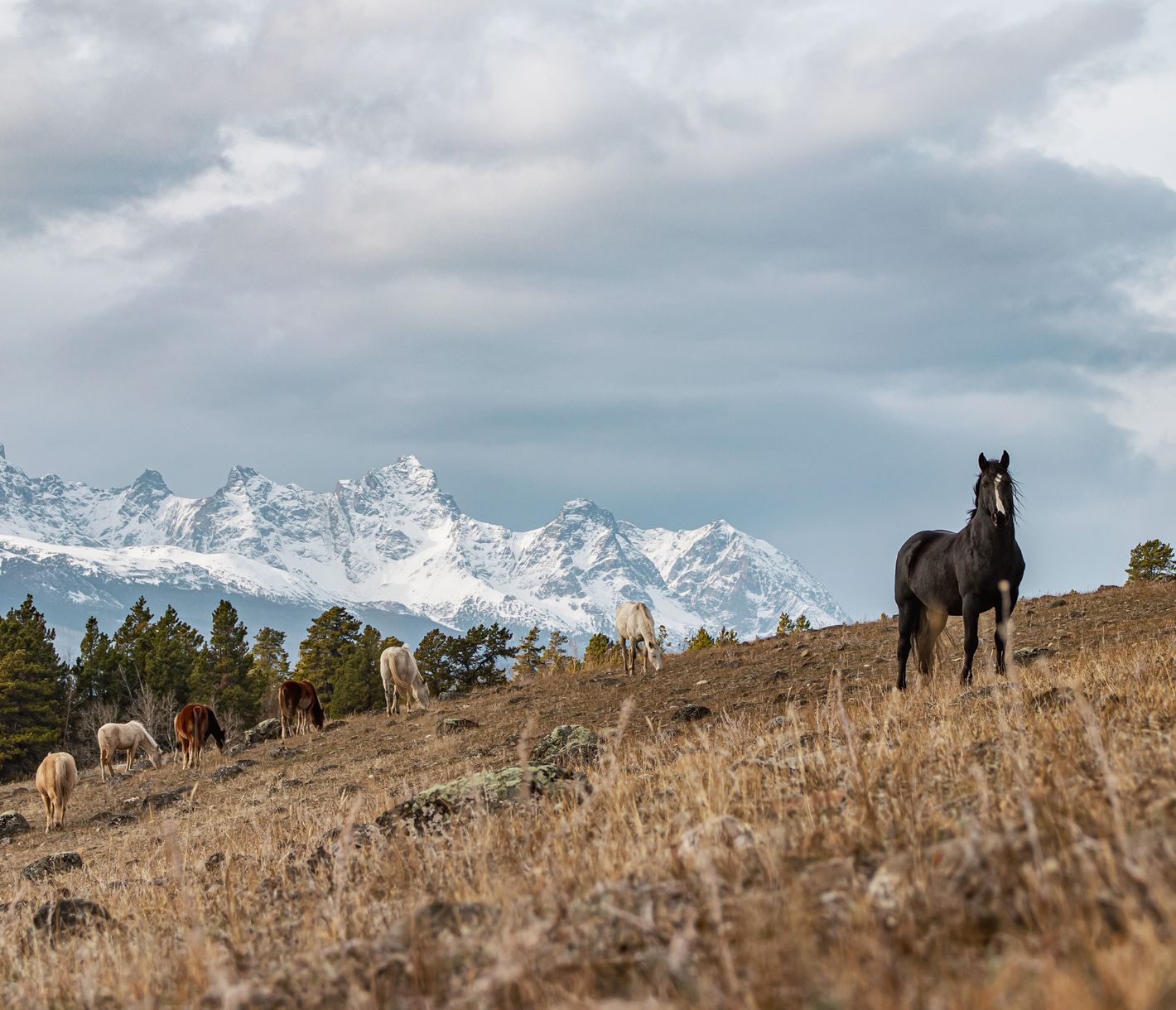 Oh wer steht denn da?