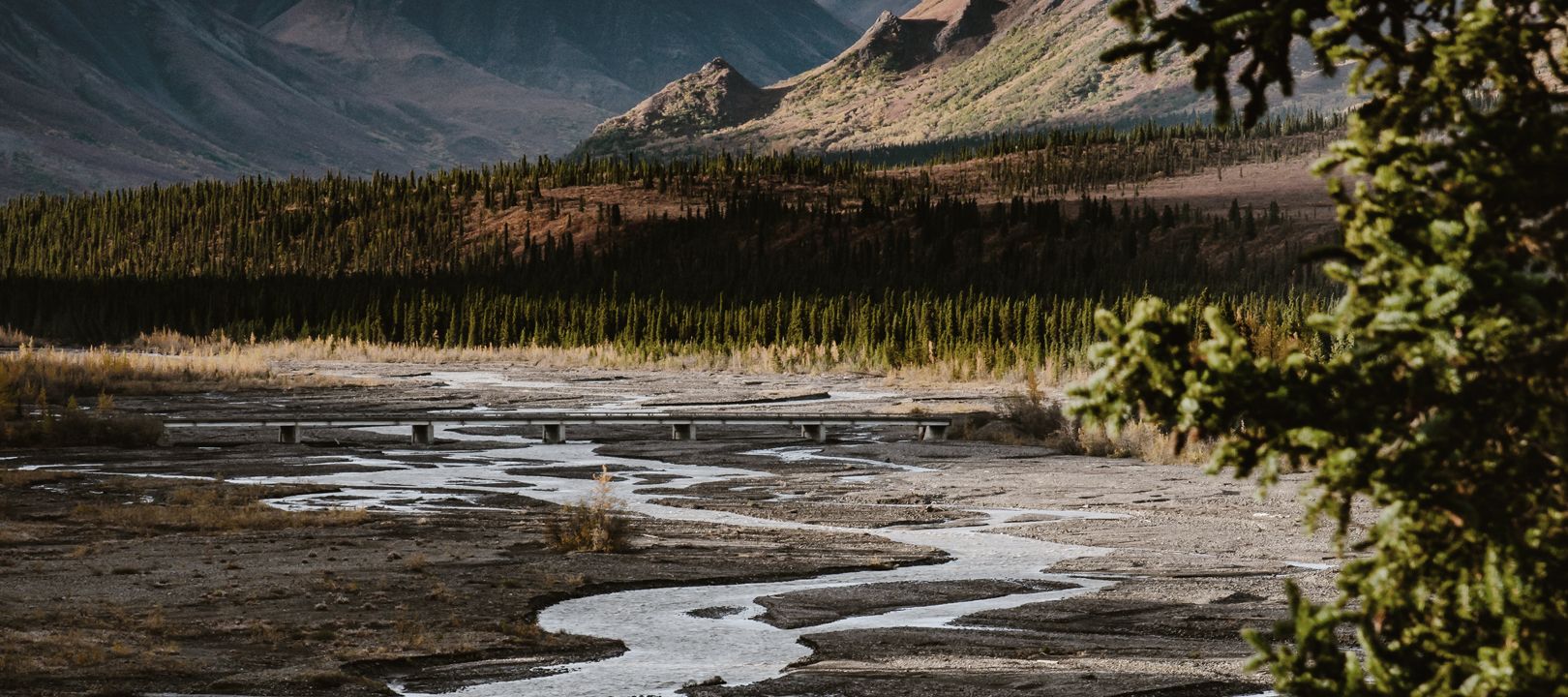 Wunderbarer Ausblick auf den wunderschönen Teklanika River im Denali National Park